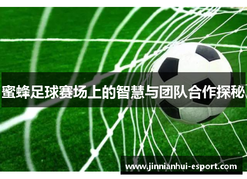 蜜蜂足球赛场上的智慧与团队合作探秘